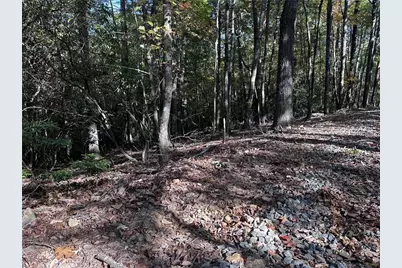 Tract3 Turniptown Road, Ellijay, GA 30536 - Photo 18