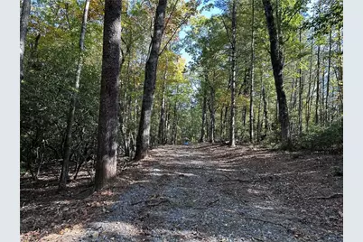 Tract3 Turniptown Road, Ellijay, GA 30536 - Photo 26