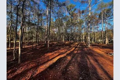 121 Sheldon Point, Griffin, GA 30224 - Photo 6