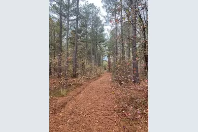 4318 Hester Town Road, Madison, GA 30650 - Photo 18