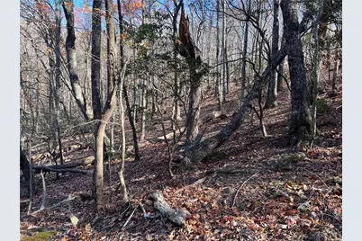 4412 Bee Tree Ridge Drive, Jasper, GA 30143 - Photo 2