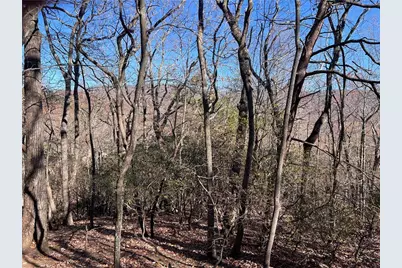 4412 Bee Tree Ridge Drive, Jasper, GA 30143 - Photo 4