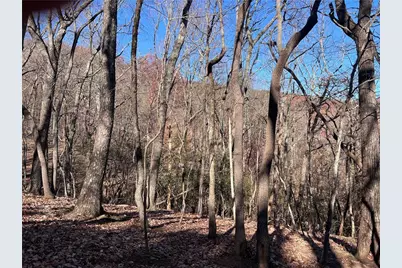 4412 Bee Tree Ridge Drive, Jasper, GA 30143 - Photo 1