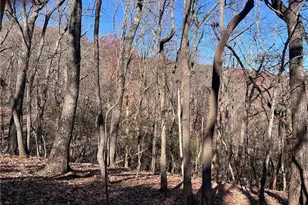 4412 Bee Tree Ridge Dr, Jasper, GA 30143 - Photo 1