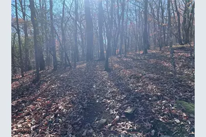 4412 Bee Tree Ridge Drive, Jasper, GA 30143 - Photo 8