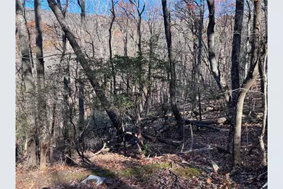 1323 Briar Vista, Jasper, GA 30143 - Photo 2