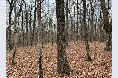 184 St Andrews Way, Ellijay, GA 30536 - Photo 16