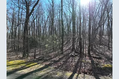 184 St Andrews Way, Ellijay, GA 30536 - Photo 8