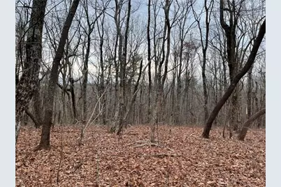 184 St Andrews Way, Ellijay, GA 30536 - Photo 18