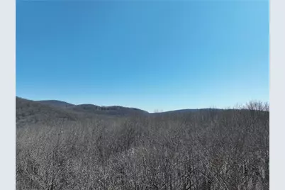 184 St Andrews Way, Ellijay, GA 30536 - Photo 38