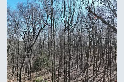 184 St Andrews Way, Ellijay, GA 30536 - Photo 14