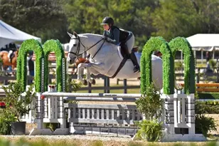 531 S Main St, Alpharetta, GA 30009 - Photo 16