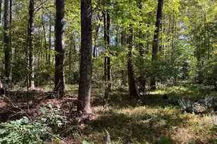 5334 Pounds Dr N, Stone Mountain, GA 30087 - Photo 4