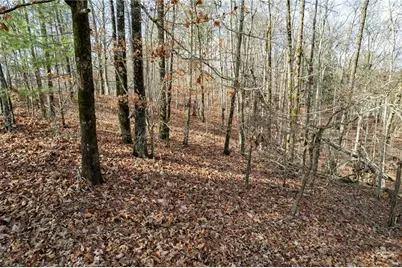 533 Marque Lane NE, Ranger, GA 30734 - Photo 4