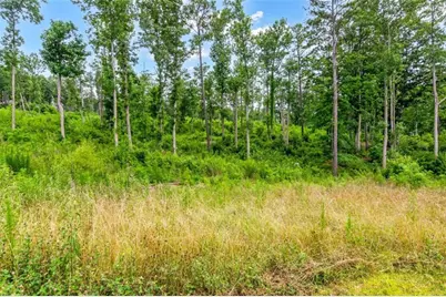 Lt 207 Oak Park Drive, Talking Rock, GA 30175 - Photo 22