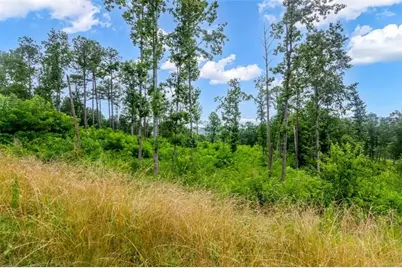 Lt 207 Oak Park Drive, Talking Rock, GA 30175 - Photo 14