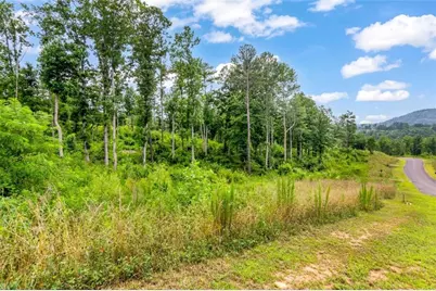 Lt 207 Oak Park Drive, Talking Rock, GA 30175 - Photo 20