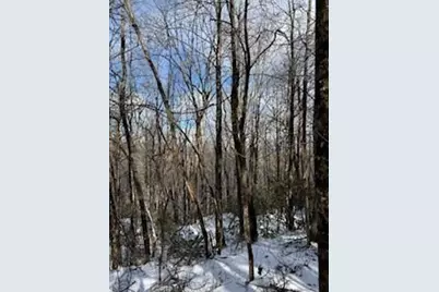 19N Fox Run Lane, Jasper, GA 30143 - Photo 8