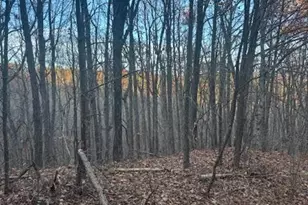 18N Bear Paw Rd, Jasper, GA 30143 - Photo 1