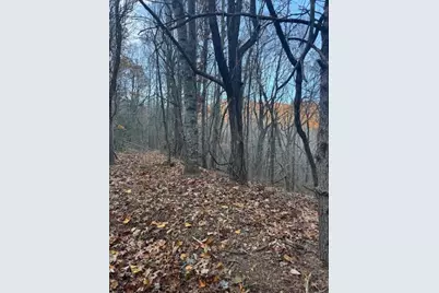 18N Bear Paw Road, Jasper, GA 30143 - Photo 2