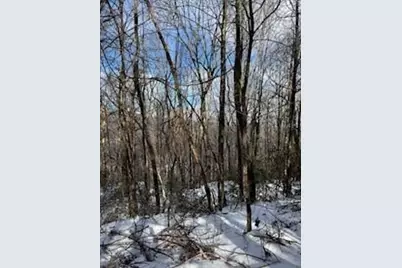 18N Bear Paw Road, Jasper, GA 30143 - Photo 6