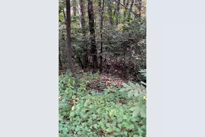 2531 Mohawk Trail, Acworth, GA 30102 - Photo 2