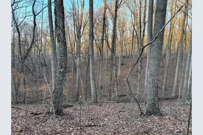 7175 Anderson Lake Road, Dawsonville, GA 30534 - Photo 14