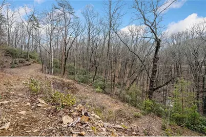 0 Big Oak Drive, Jasper, GA 30143 - Photo 4