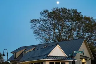 29 Hydrangea Unit 72 Way, Auburn, GA 30011 - Photo 22