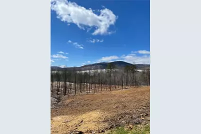 134 Twisted Oak Road, Talking Rock, GA 30175 - Photo 8