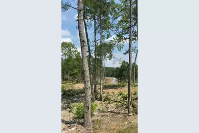 135 Twisted Oak Road, Talking Rock, GA 30175 - Photo 12