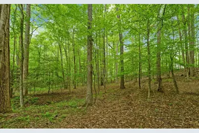 0 Honey Tree Terrace, Dahlonega, GA 30533 - Photo 18