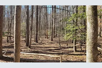 0 Honey Tree Terrace, Dahlonega, GA 30533 - Photo 34