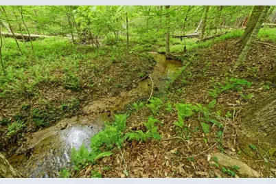 0 Honey Tree Terrace, Dahlonega, GA 30533 - Photo 14