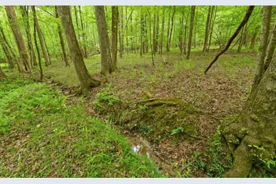 0 Honey Tree Terrace, Dahlonega, GA 30533 - Photo 16