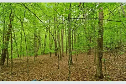 0 Honey Tree Terrace, Dahlonega, GA 30533 - Photo 10