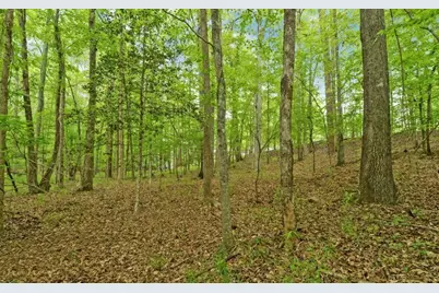 0 Honey Tree Terrace, Dahlonega, GA 30533 - Photo 20