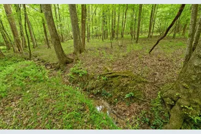 0 Honey Tree Terrace, Dahlonega, GA 30533 - Photo 16