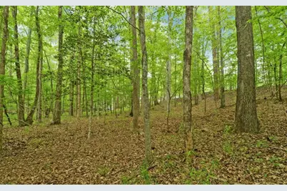 0 Honey Tree Terrace, Dahlonega, GA 30533 - Photo 20