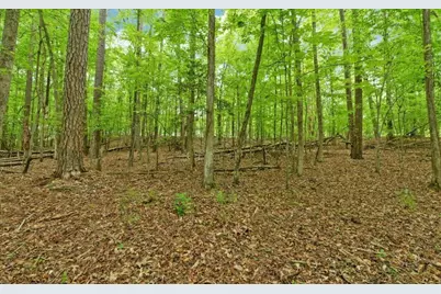 0 Honey Tree Terrace, Dahlonega, GA 30533 - Photo 12