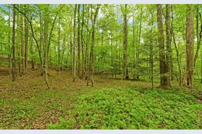 0 Honey Tree Terrace, Dahlonega, GA 30533 - Photo 22