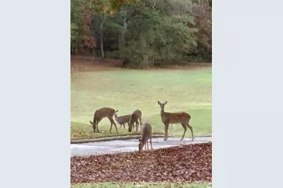 2819 Kestrel Drive, Statham, GA 30666 - Photo 60