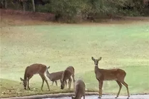 2819 Kestrel Dr, Statham, GA 30666 - Photo 60