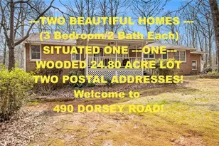 490 Dorsey Road Rd, Hampton, GA 30228 - Photo 28