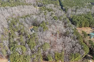 490 Dorsey Road Rd, Hampton, GA 30228 - Photo 54