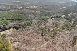 490 Dorsey Road Rd, Hampton, GA 30228 - Photo 56