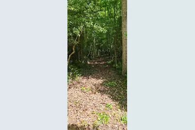 5 Gold Mine Road, Morganton, GA 30560 - Photo 2