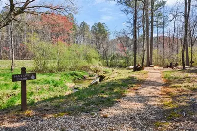 Lt 274 Canoe Way, Talking Rock, GA 30175 - Photo 8