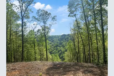 Lt 274 Canoe Way, Talking Rock, GA 30175 - Photo 26