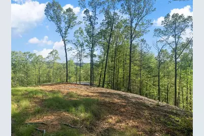 Lt 274 Canoe Way, Talking Rock, GA 30175 - Photo 24